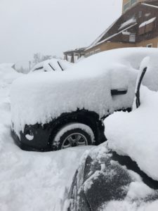 雪の積もった車